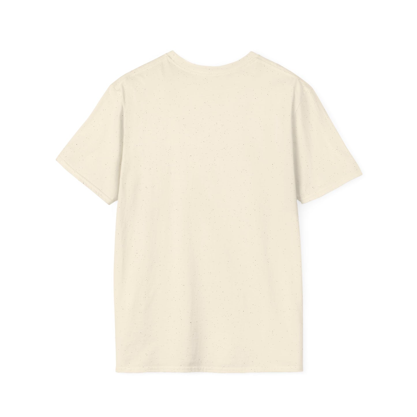 Soaring Airplane Inspirational T-Shirt